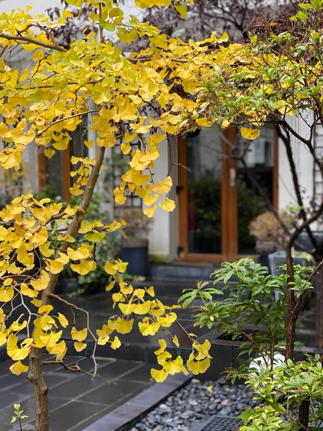Camparis - B&B - Chambre D'Hotes Εξωτερικό φωτογραφία